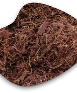 Buy Mimosa Hostilis Root Bark 2kg in Europe